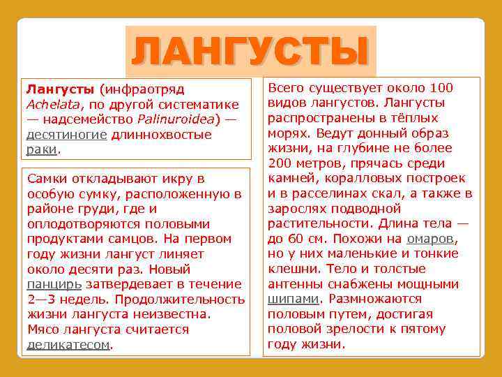 ЛАНГУСТЫ Лангусты (инфраотряд Achelata, по другой систематике — надсемейство Palinuroidea) — десятиногие длиннохвостые раки.