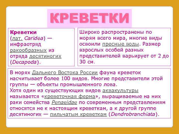 КРЕВЕТКИ Креветки (лат. Caridea) — инфраотряд ракообразных из отряда десятиногих (Decapoda). Широко распространены по