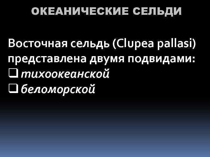 ОКЕАНИЧЕСКИЕ СЕЛЬДИ Восточная сельдь (Clupea pallasi) представлена двумя подвидами: q тихоокеанской q беломорской 