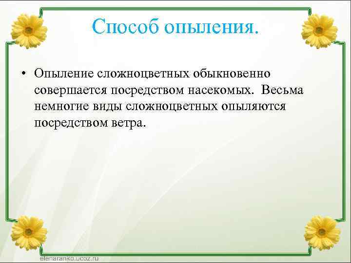 Опыление сложноцветных. Семейство Сложноцветные способ опыления. Опыление астровых. Опыление сложноцветных происходит.