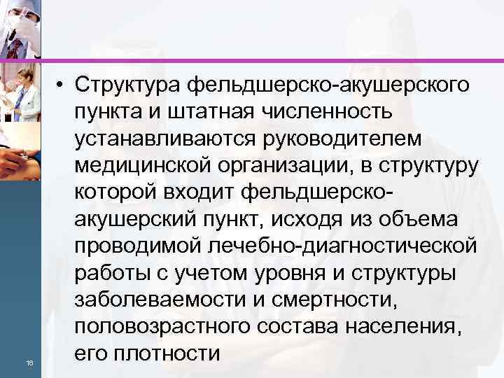 Сколько работников к одному руководителю стажировки