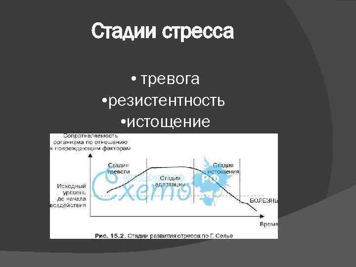 Назовите основные этапы развития стресса в физиологическом плане