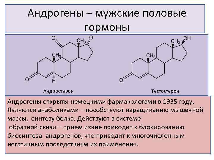 Андрогены – мужские половые гормоны Андростерон Тестостерон Андрогены открыты немецкими фармакологами в 1935 году.
