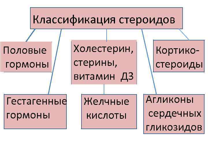 Классификация стероидов Половые гормоны Гестагенные гормоны Холестерин, стерины, витамин Д 3 Желчные кислоты Кортикостероиды