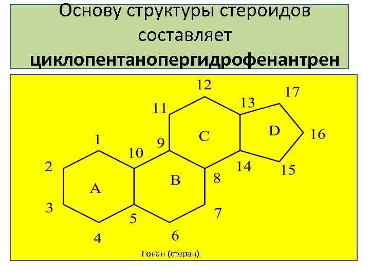 Основу структуры стероидов составляет циклопентанопергидрофенантрен Гонан (стеран) 