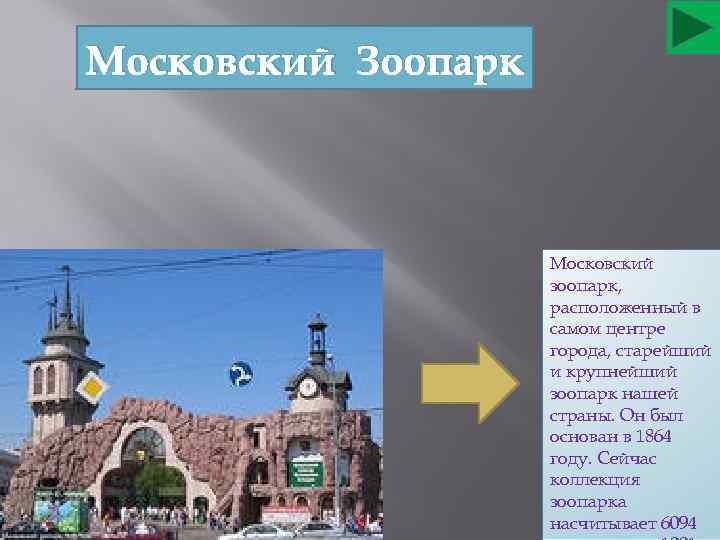 Московский Зоопарк Московский зоопарк, расположенный в самом центре города, старейший и крупнейший зоопарк нашей