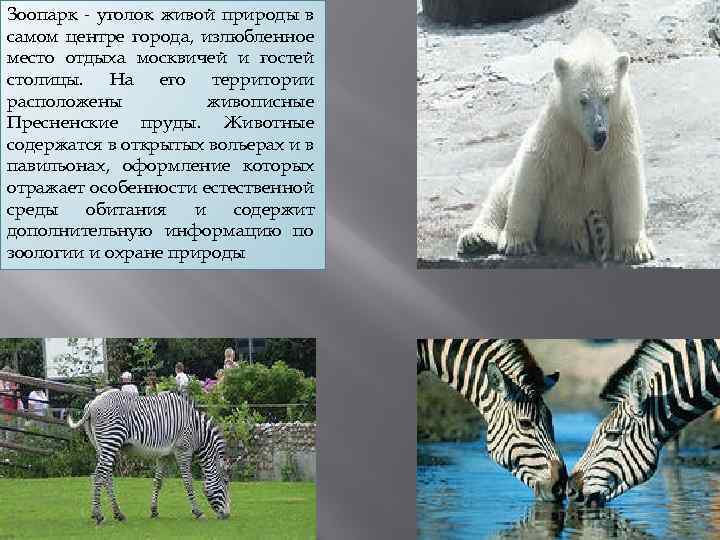 Зоопарк - уголок живой природы в самом центре города, излюбленное место отдыха москвичей и