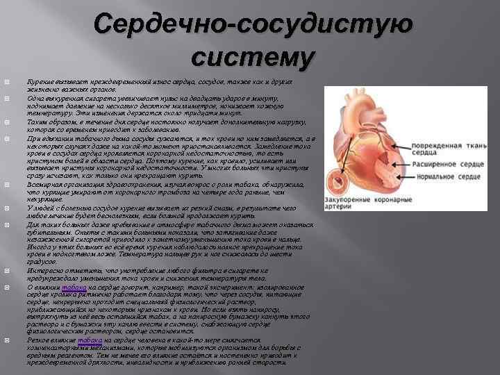 Сердечно-сосудистую систему Курение вызывает преждевременный износ сердца, сосудов, также как и других жизненно важных