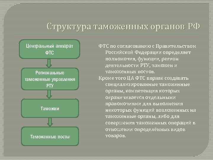 Структура таможенных органов РФ Центральный аппарат ФТС Региональные таможенные управления РТУ Таможни Таможенные посты