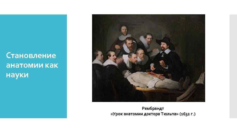 Становление анатомии как науки Рембрандт «Урок анатомии доктора Тюльпа» (1632 г. ) 