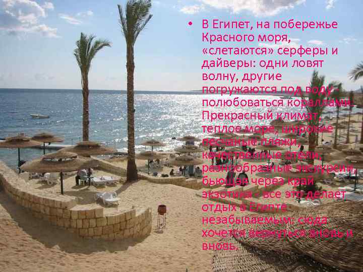  • В Египет, на побережье Красного моря, «слетаются» серферы и дайверы: одни ловят