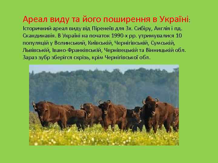 Ареал виду та його поширення в Україні: Історичний ареал виду від Піренеїв для Зх.