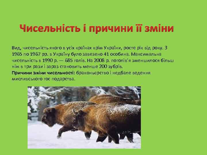 Чисельність і причини її зміни Вид, чисельність якого в усіх країнах крім України, росте