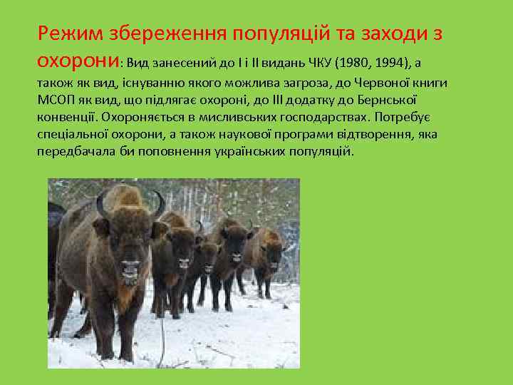 Режим збереження популяцій та заходи з охорони: Вид занесений до І і ІІ видань