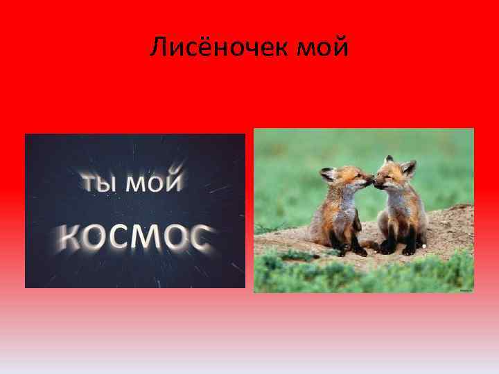 Лисёночек мой 