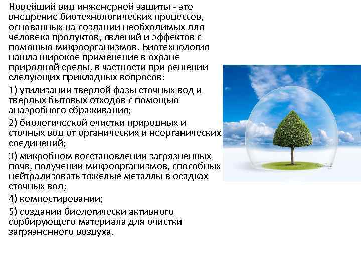 Новейший вид инженерной защиты - это внедрение биотехнологических процессов, основанных на создании необходимых для