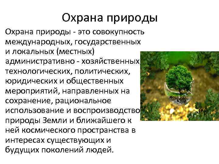 Охрана природы • Охрана природы - это совокупность международных, государственных и локальных (местных) административно