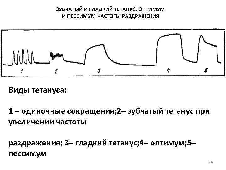 Оптимум частоты