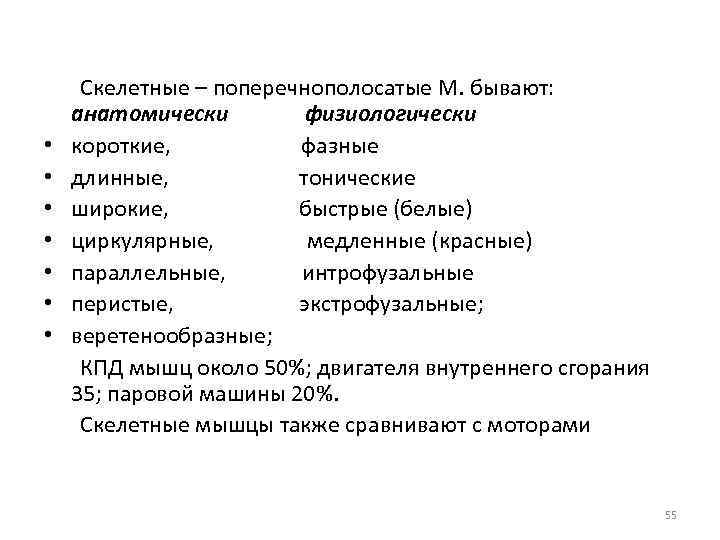  • • Скелетные – поперечнополосатые М. бывают: анатомически физиологически короткие, фазные длинные, тонические