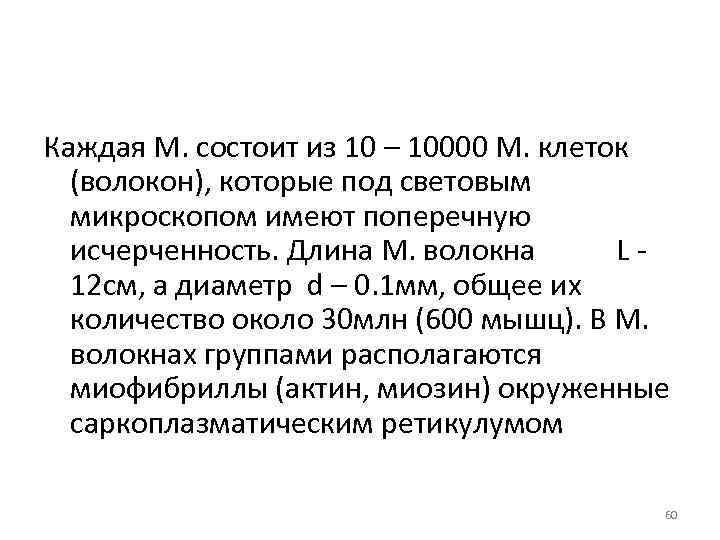 Каждая М. состоит из 10 – 10000 М. клеток (волокон), которые под световым микроскопом