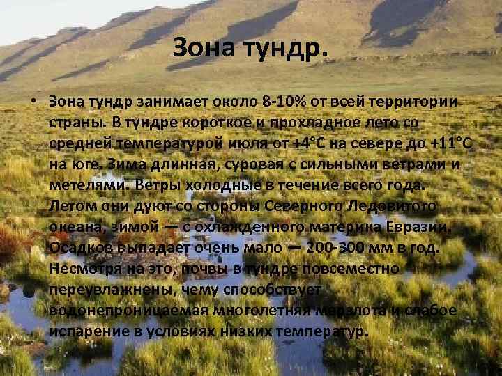 Зона тундр. • Зона тундр занимает около 8 -10% от всей территории страны. В