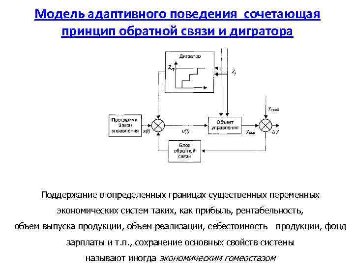 Модель адаптивного поведения сочетающая принцип обратной связи и дигратора Поддержание в определенных границах существенных