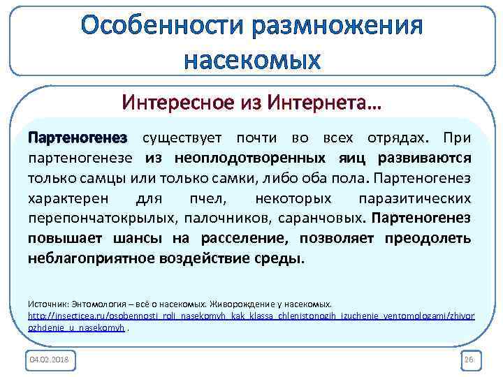 Особенности размножения насекомых Интересное из Интернета… Партеногенез существует почти во кокцид, жуков При Живорождение