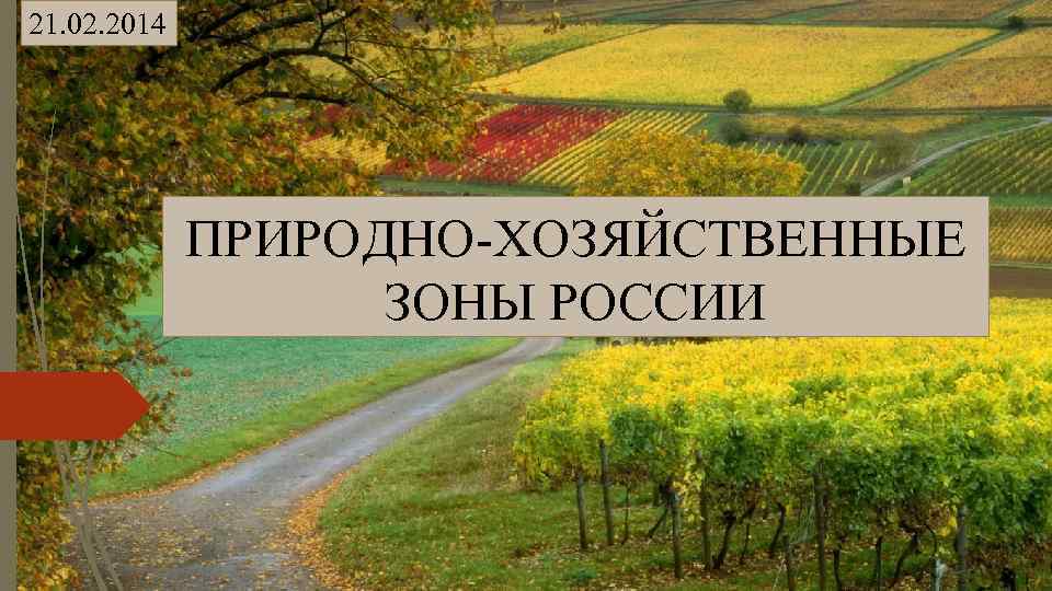 Презентация учение о природных зонах 8 класс презентация