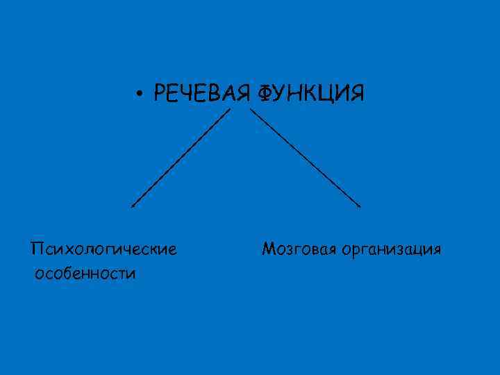  • РЕЧЕВАЯ ФУНКЦИЯ Психологические особенности Мозговая организация 