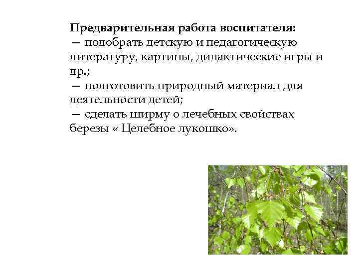 Предварительная работа воспитателя: — подобрать детскую и педагогическую литературу, картины, дидактические игры и др.