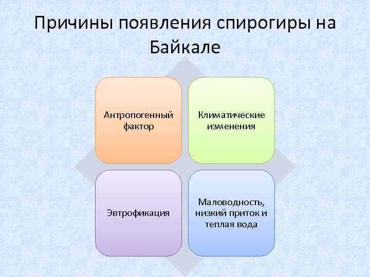 Причины появления спирогиры на Байкале Антропогенный фактор Климатические изменения Эвтрофикация Маловодность, низкий приток и
