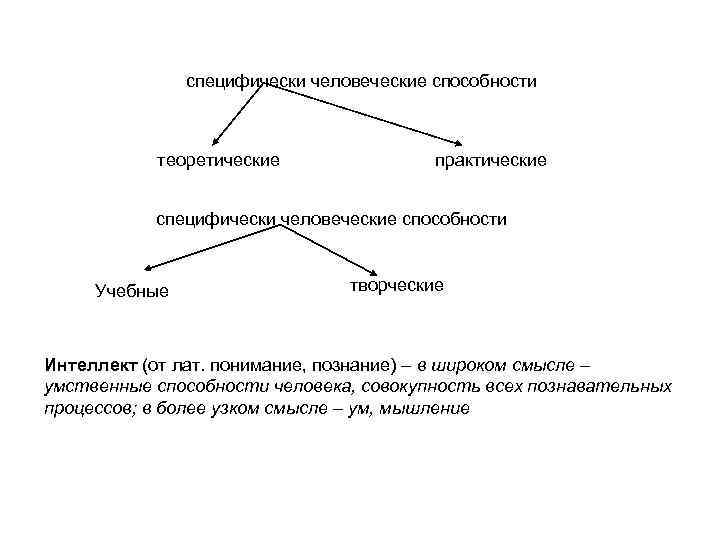 специфически человеческие способности теоретические практические специфически человеческие способности Учебные творческие Интеллект (от лат. понимание,