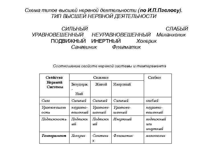 Схема типов высшей нервной деятельности (по И. П. Павлову). ТИП ВЫСШЕЙ НЕРВНОЙ ДЕЯТЕЛЬНОСТИ СИЛЬНЫЙ