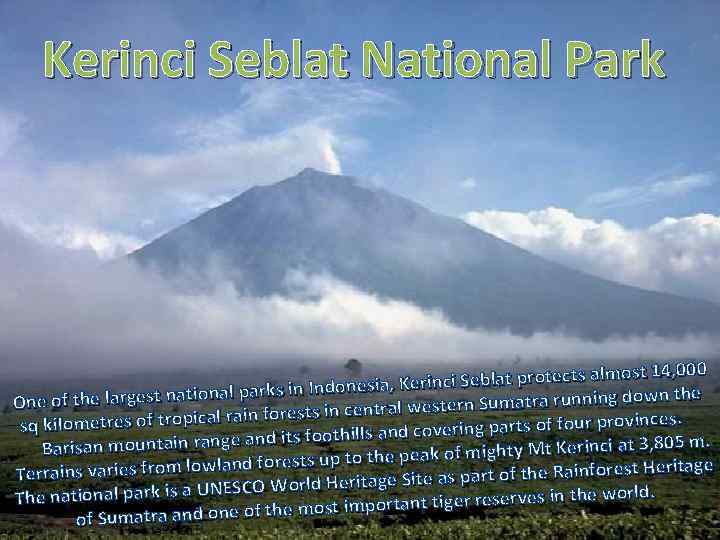 Kerinci Seblat National Park 14, 000 ci Seblat protects almost donesia, Kerin the rgest