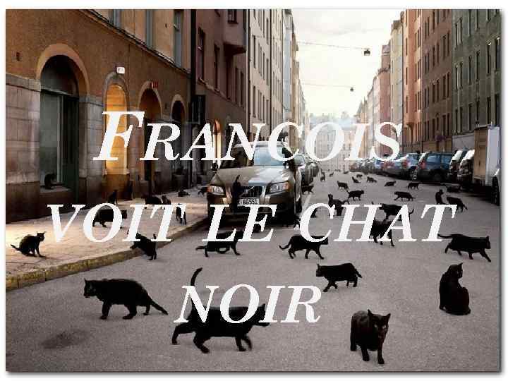 FRANCOIS VOIT LE CHAT NOIR 