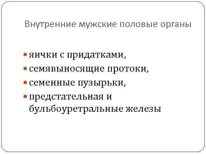 Внутренние мужские половые органы яички с придатками, семявыносящие протоки, семенные пузырьки, предстательная и бульбоуретральные