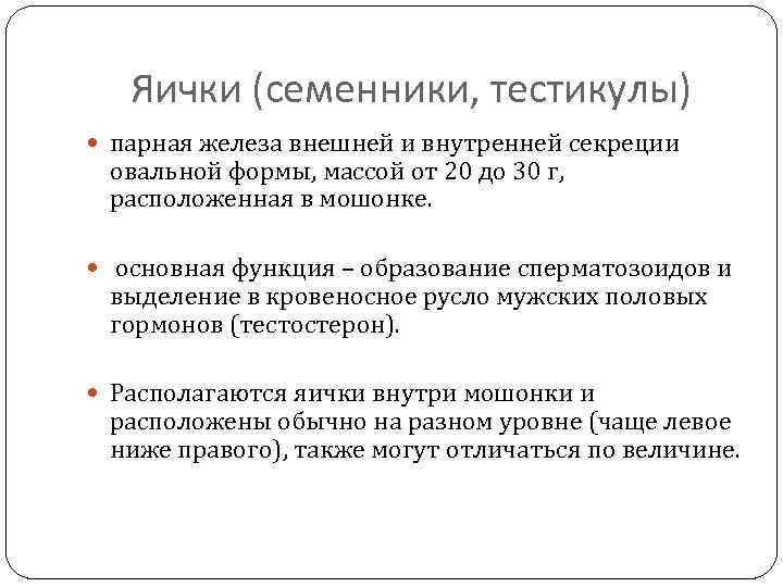 Яички (семенники, тестикулы) парная железа внешней и внутренней секреции овальной формы, массой от 20