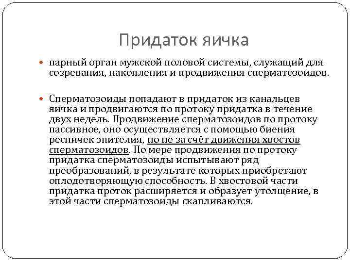 Придаток яичка парный орган мужской половой системы, служащий для созревания, накопления и продвижения сперматозоидов.