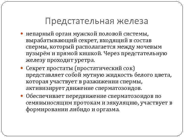 Предстательная железа непарный орган мужской половой системы, вырабатывающий секрет, входящий в состав спермы, который
