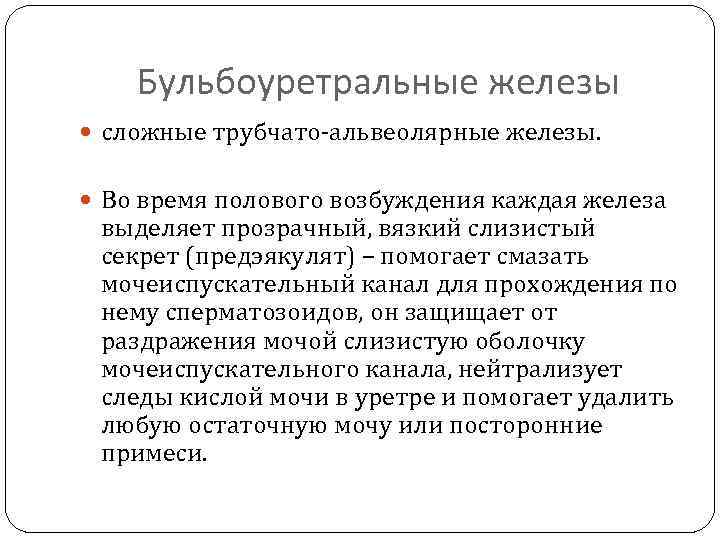 Бульбоуретральные железы сложные трубчато-альвеолярные железы. Во время полового возбуждения каждая железа выделяет прозрачный, вязкий