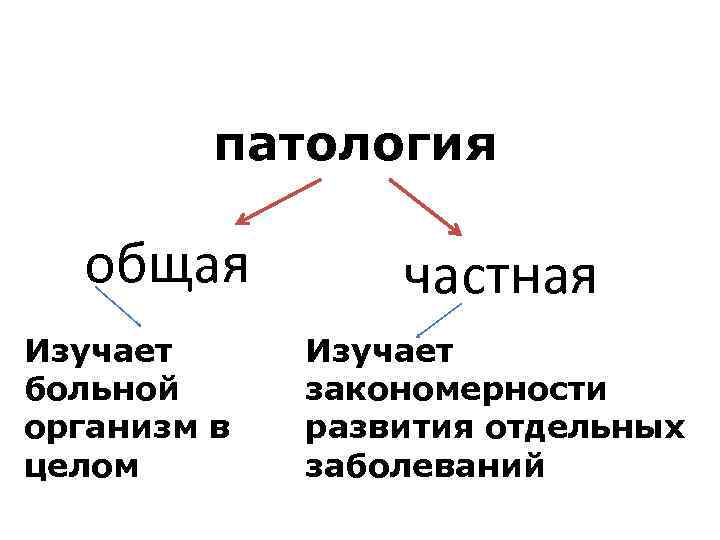 Патология это. Общая патология. Общая и частная патология. Общая патология частная патология. Схема общей патологии.