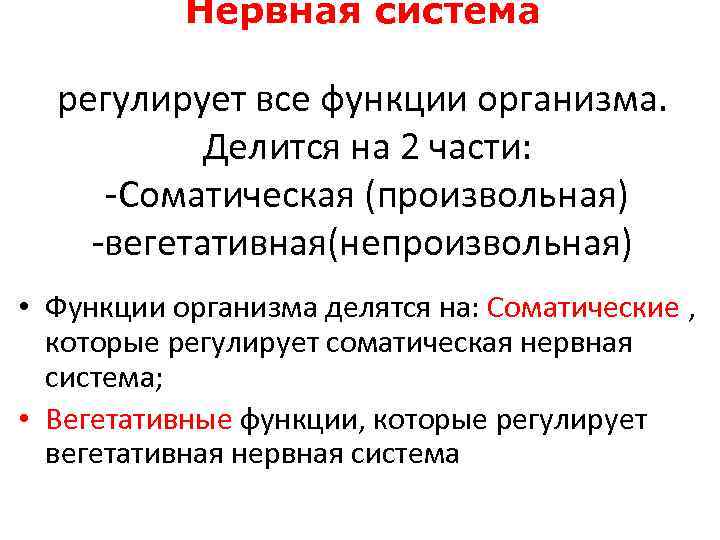 Нервная система регулирует все функции организма. Делится на 2 части: Соматическая (произвольная) вегетативная(непроизвольная) •