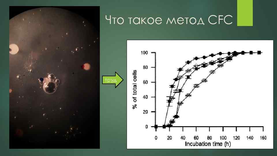 Что такое метод CFC труд 