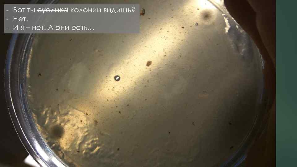 - Вот ты суслика колонии видишь? - Нет. - И я – нет. А