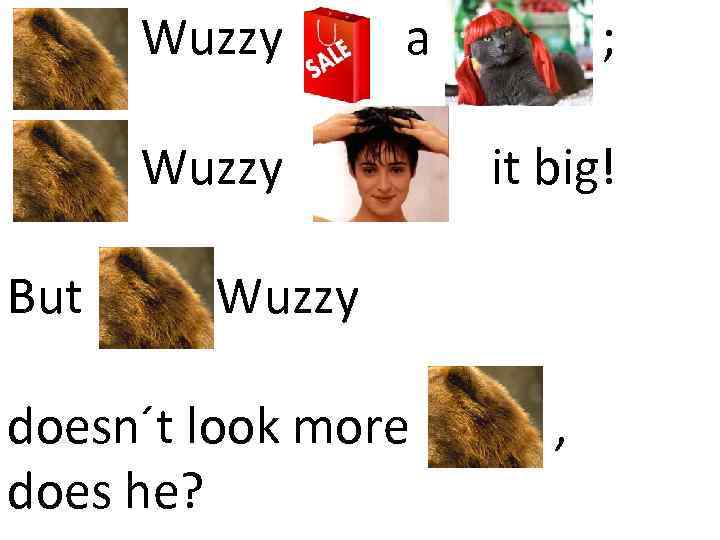 Fuzz Wuzzy a ; it big! But Fuzz Wuzzy doesn´t look more uzzy ,