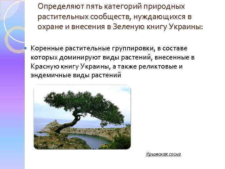 Определяют пять категорий природных растительных сообществ, нуждающихся в охране и внесения в Зеленую книгу