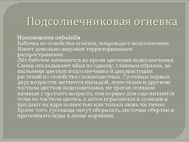 Подсолнечниковая огневка Homoeosoma nebulella Бабочка из семейства огнёвок, повреждает подсолнечник. Имеет довольно широкое территориальное