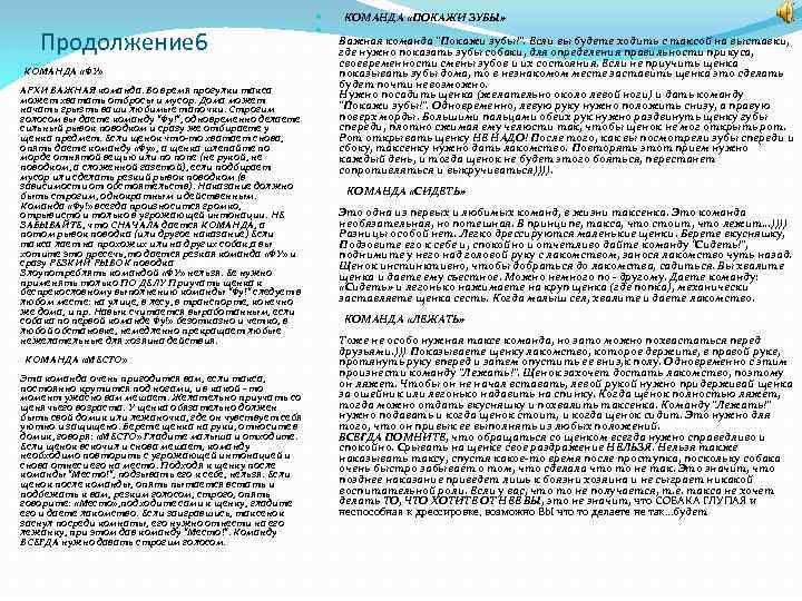 Продолжение 6 КОМАНДА «ФУ» АРХИ ВАЖНАЯ команда. Во время прогулки такса может хватать отбросы