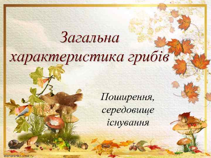 Загальна характеристика грибів Поширення, середовище існування 