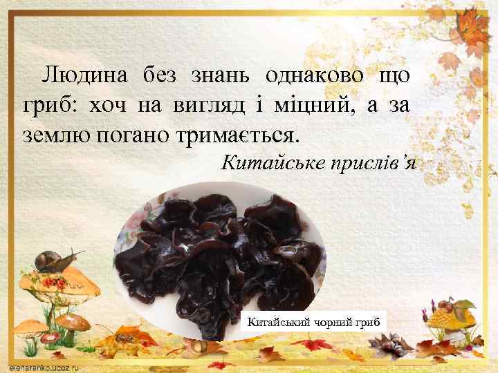 Людина без знань однаково що гриб: хоч на вигляд і міцний, а за землю